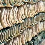 Corrugated Pottery: History and Identification