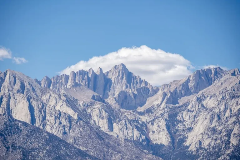 Lone Mountain Turquoise: Buyer’s Guide