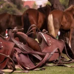 Navajo Saddle Blankets: History and Value