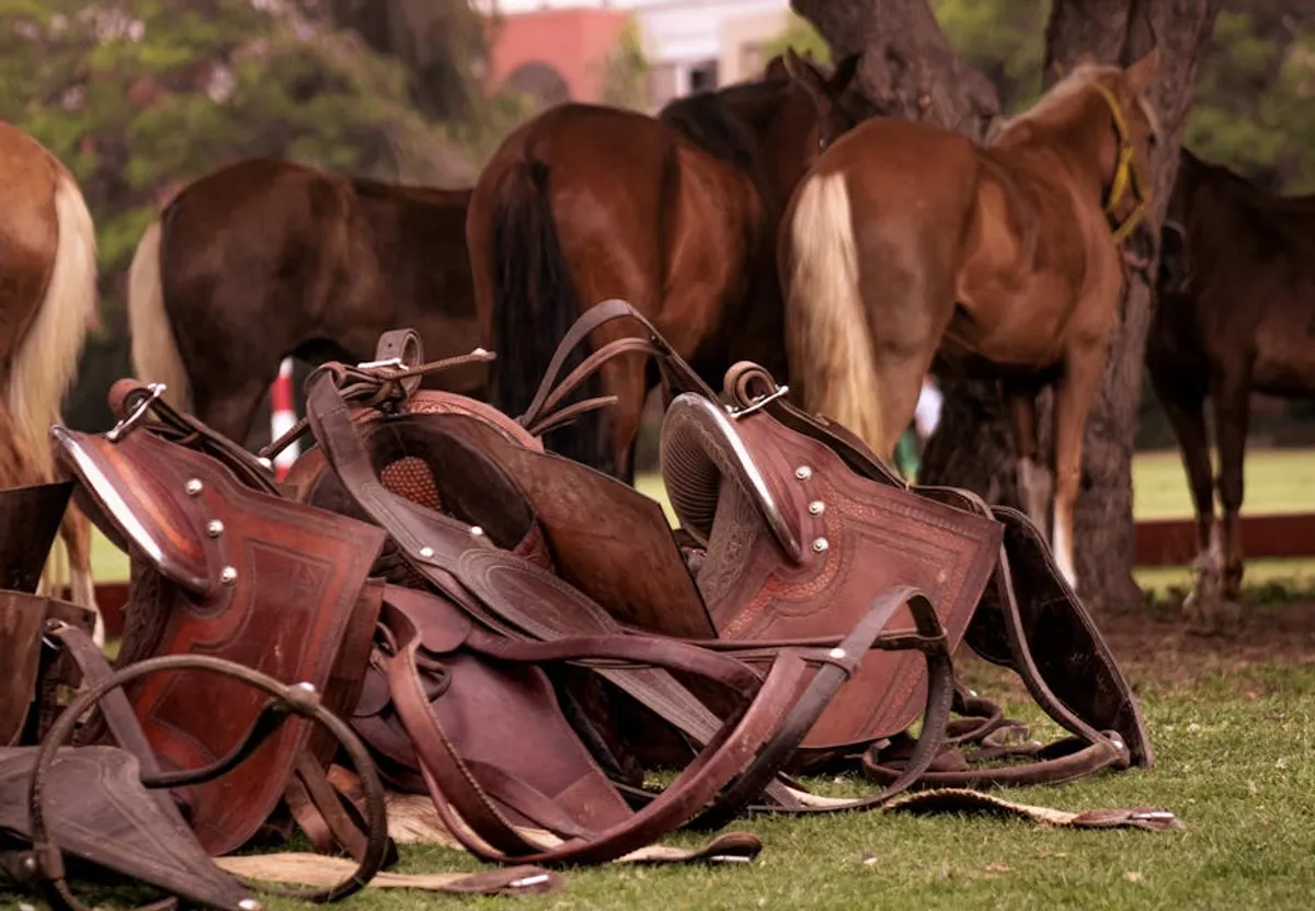 Navajo Saddle Blankets: History and Value