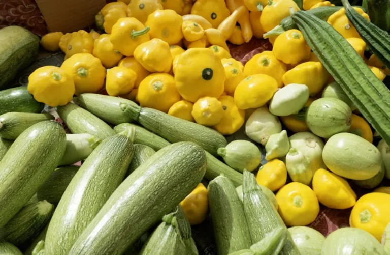 Squash Blossom Necklace: Meaning, History, and Value